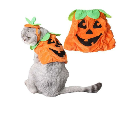 Costume Halloween per Gatti - Cappello e Vestito Zucca Creativo
