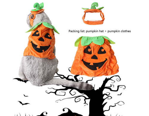 Costume Halloween per Gatti - Cappello e Vestito Zucca Creativo