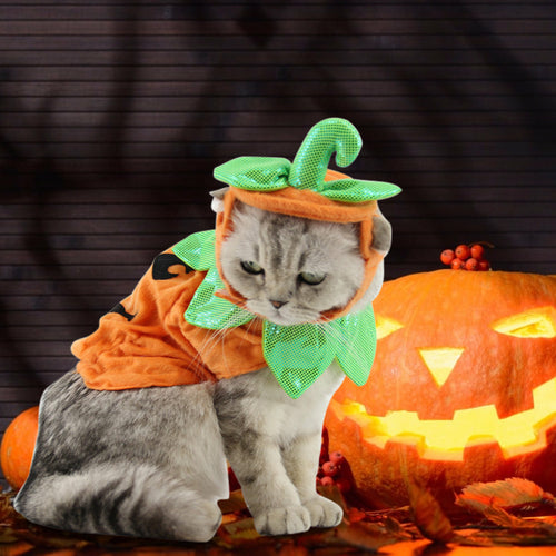 Costume Halloween per Gatti - Cappello e Vestito Zucca Creativo