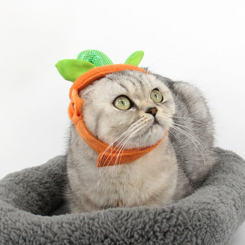 Costume Halloween per Gatti - Cappello e Vestito Zucca Creativo