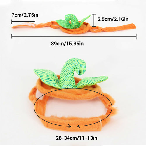 Costume Halloween per Gatti - Cappello e Vestito Zucca Creativo