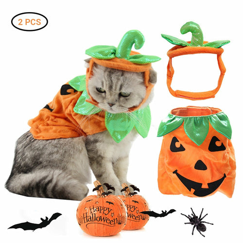 Costume Halloween per Gatti - Cappello e Vestito Zucca Creativo
