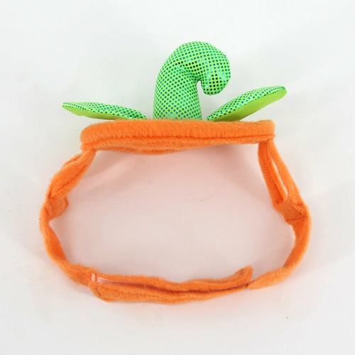 Costume Halloween per Gatti - Cappello e Vestito Zucca Creativo