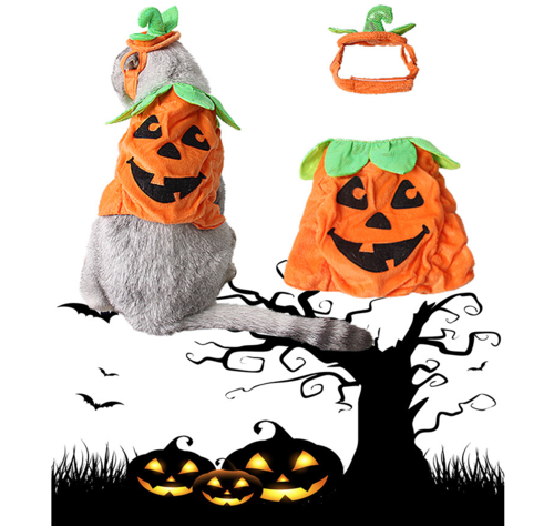 Costume Halloween per Gatti - Cappello e Vestito Zucca Creativo